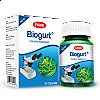 Fame - Natural | Organic Health Supplement From Myanmar